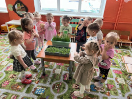 Огород на подоконнике в группе «Колокольчики» Огород на подоконнике в группе «Колокольчики».
