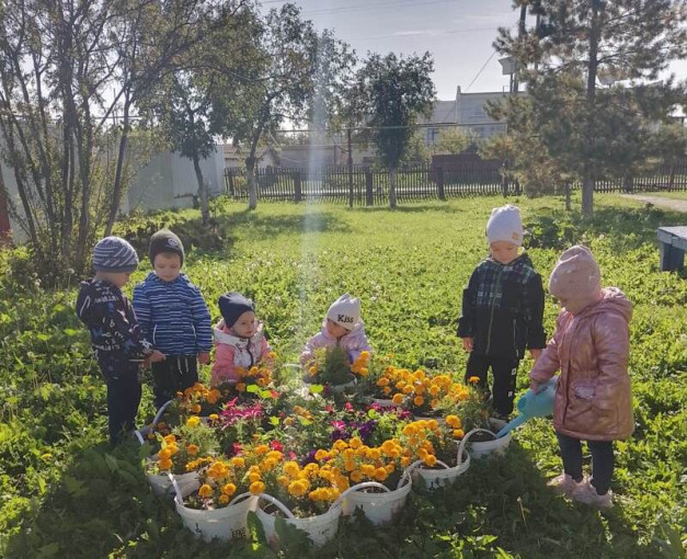 День осенних цветов День осенних цветов.